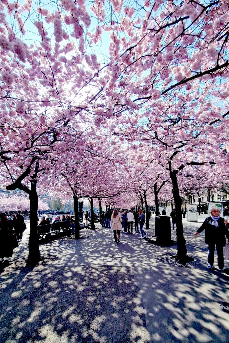Walking Paths