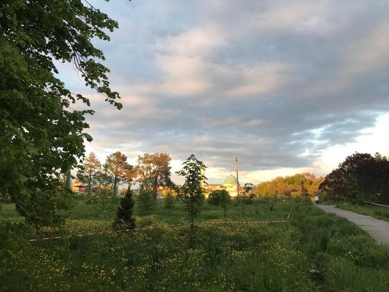 Walking Trails
