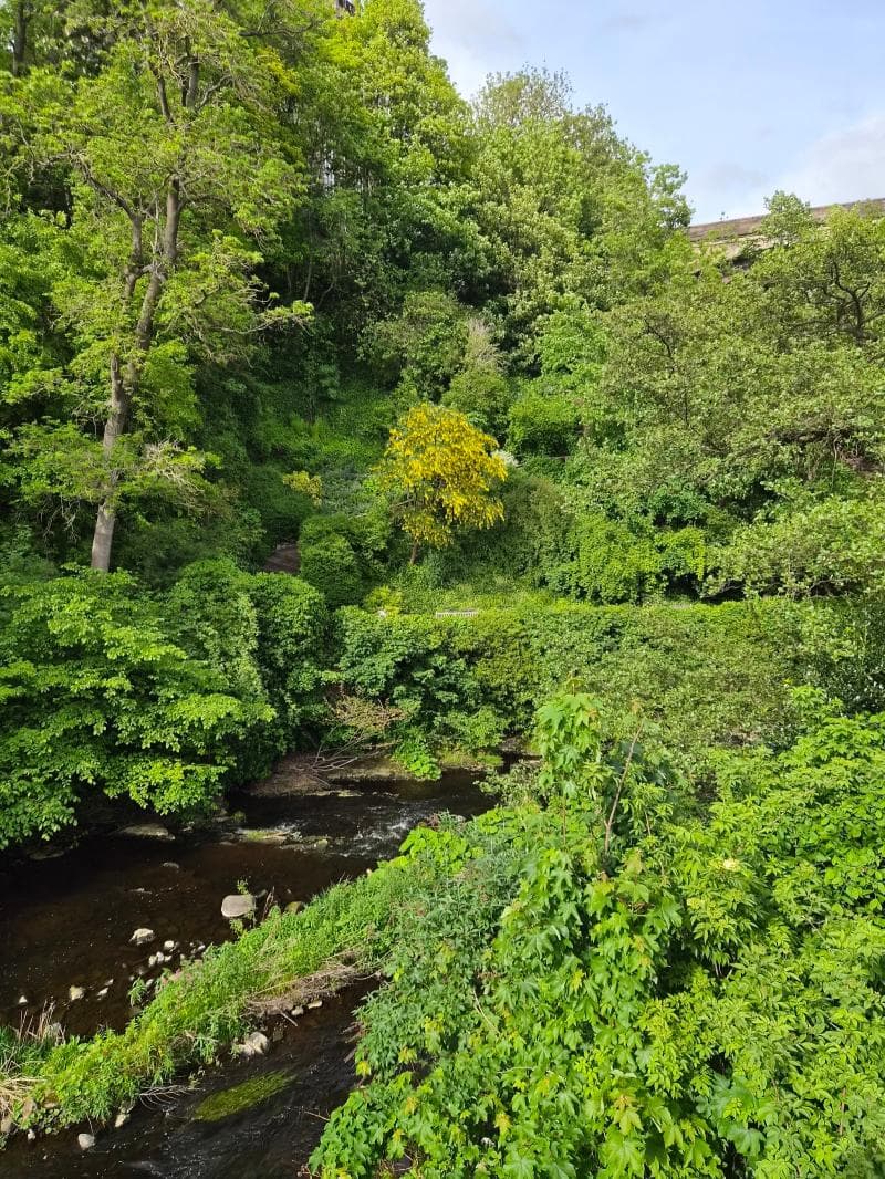 Water Of Leith Walkway