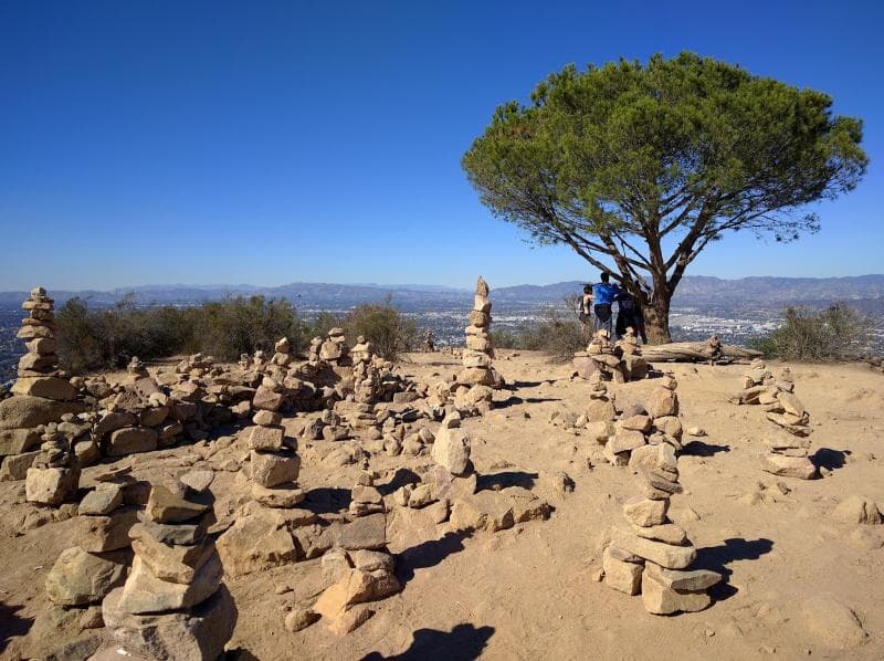 Wisdom Tree Hike