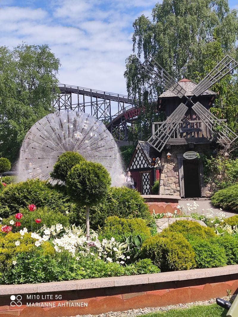 Wooden Roller Coaster