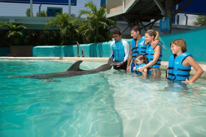 Dolphin Encounter Pool - 2