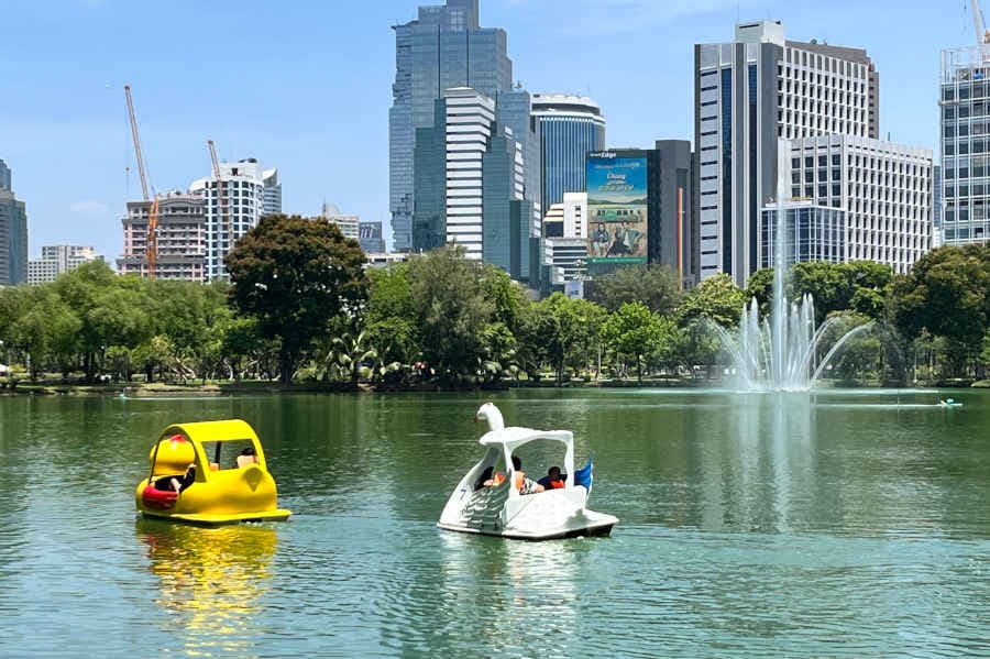 Central Lake & Swan Paddleboats - 2