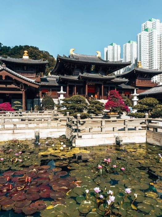 Lotus Pond Courtyards - 2