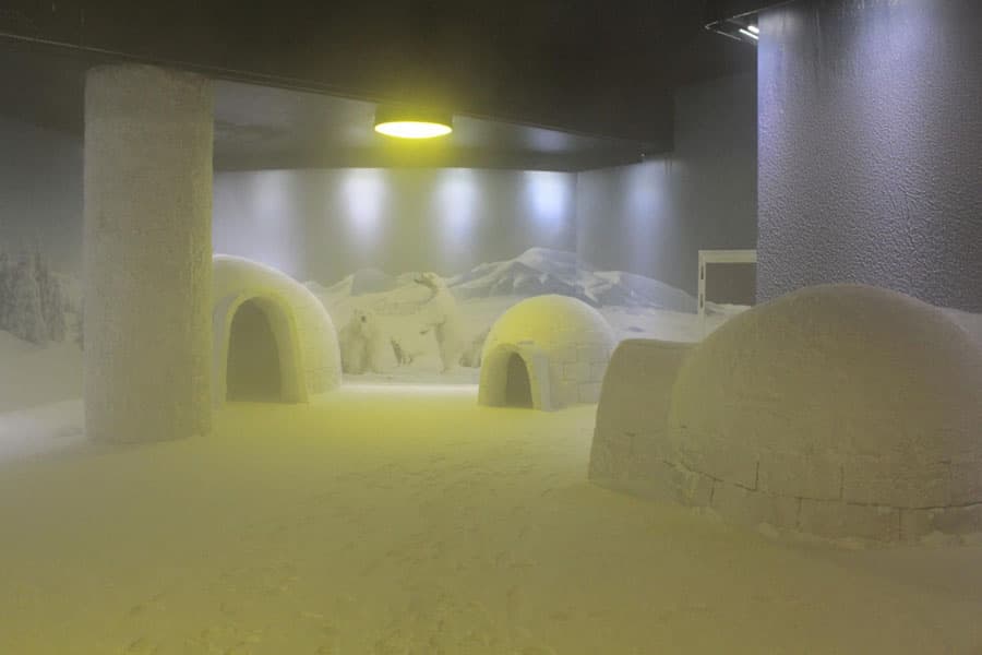 Snow World & Ice Museum - 2