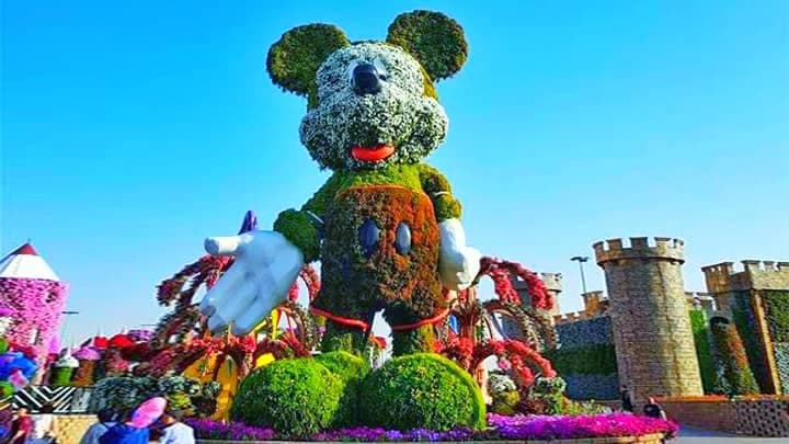 Disney Avenue & Mickey Mouse Topiary - 2